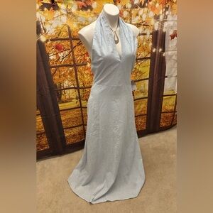 Petal & Pup Light Blue Maxi Dress